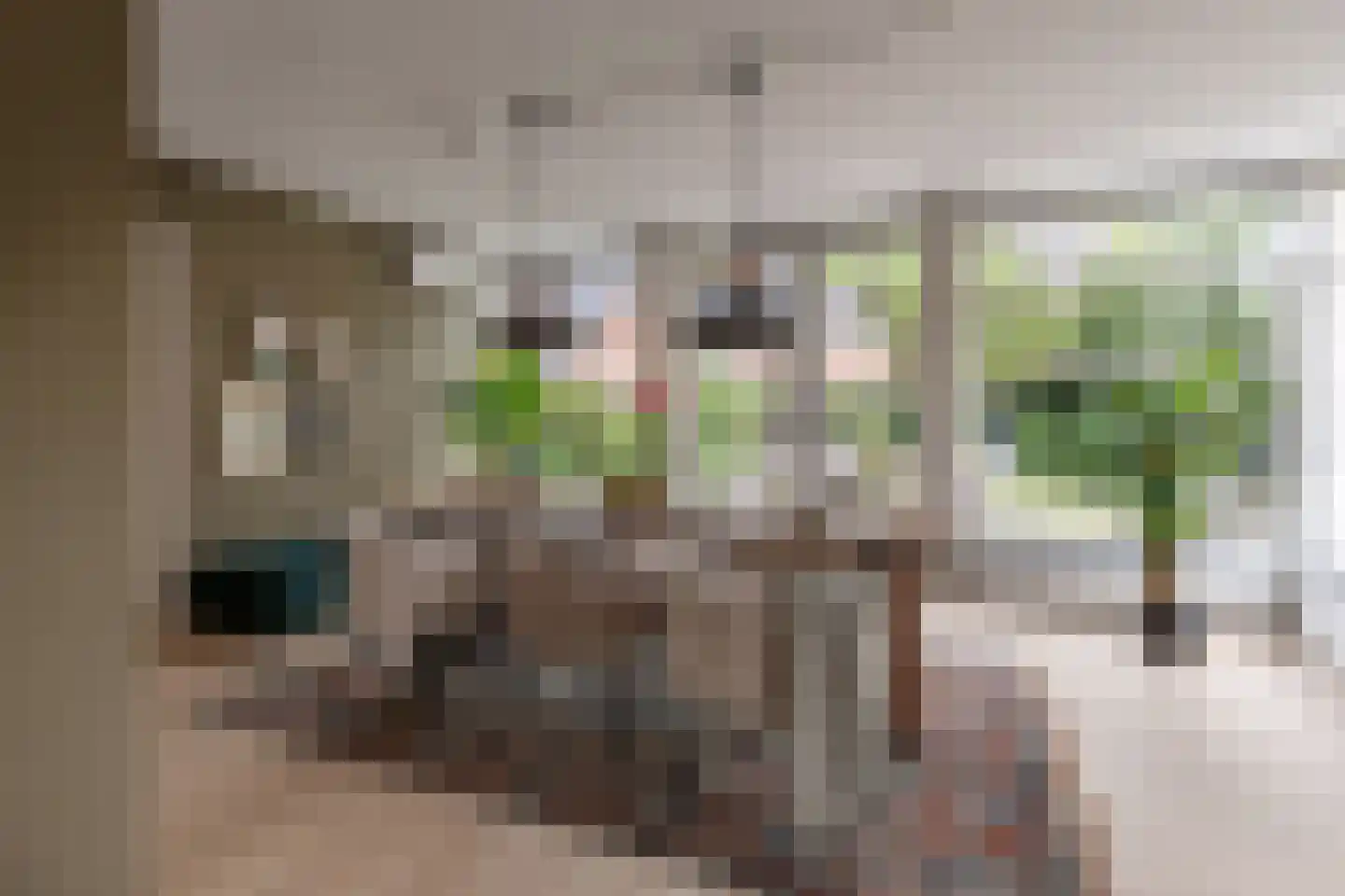 Braakven 33 Berlicum thumbnail 16