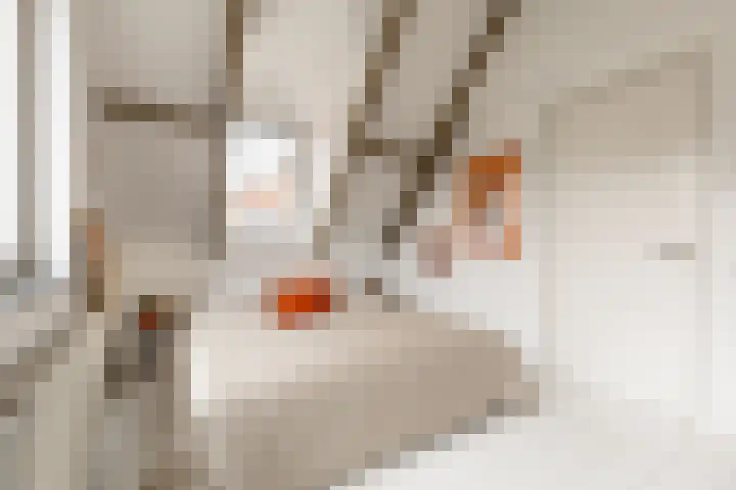 Braakven 33 Berlicum thumbnail 26