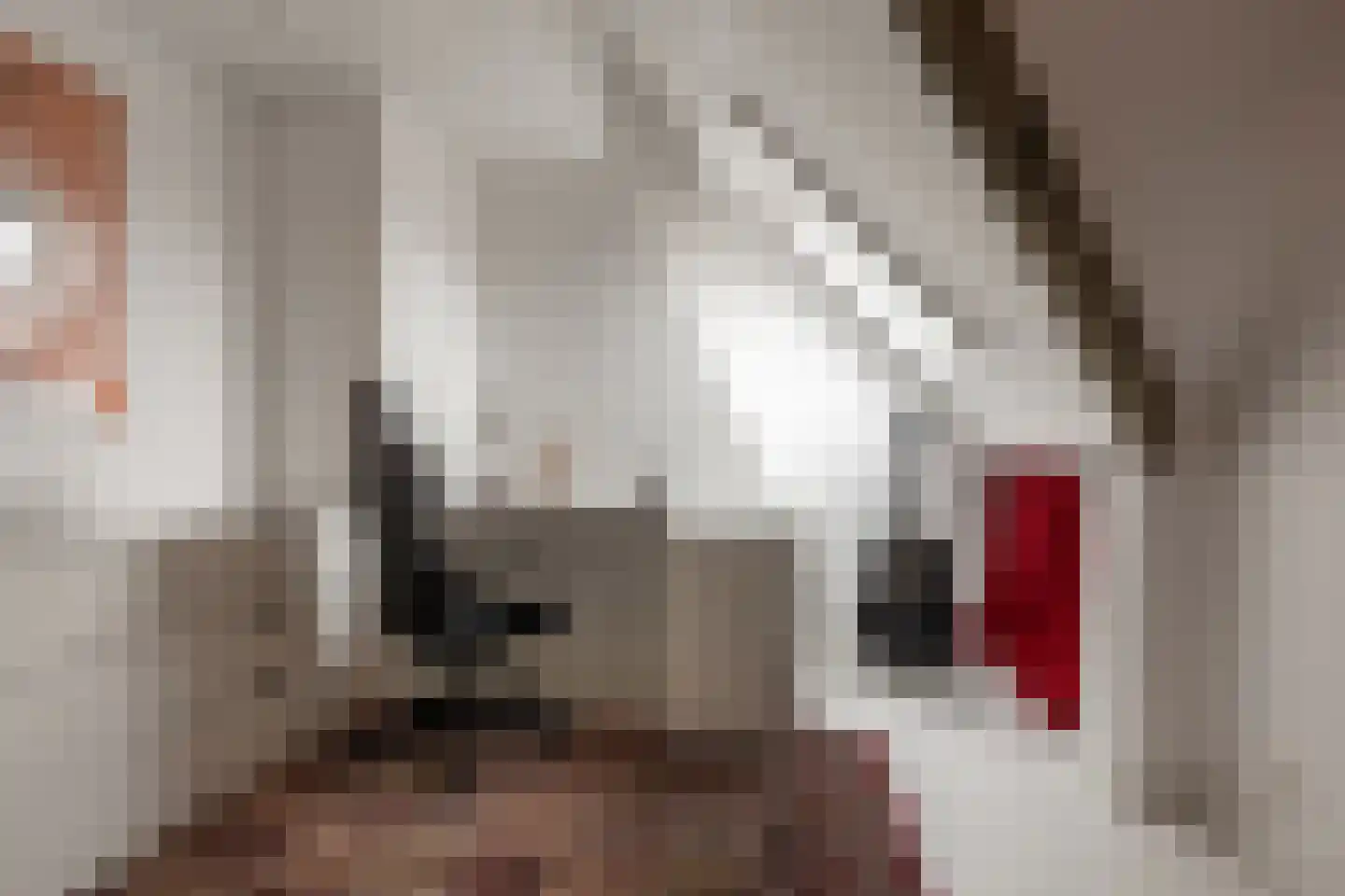 Braakven 33 Berlicum thumbnail 28