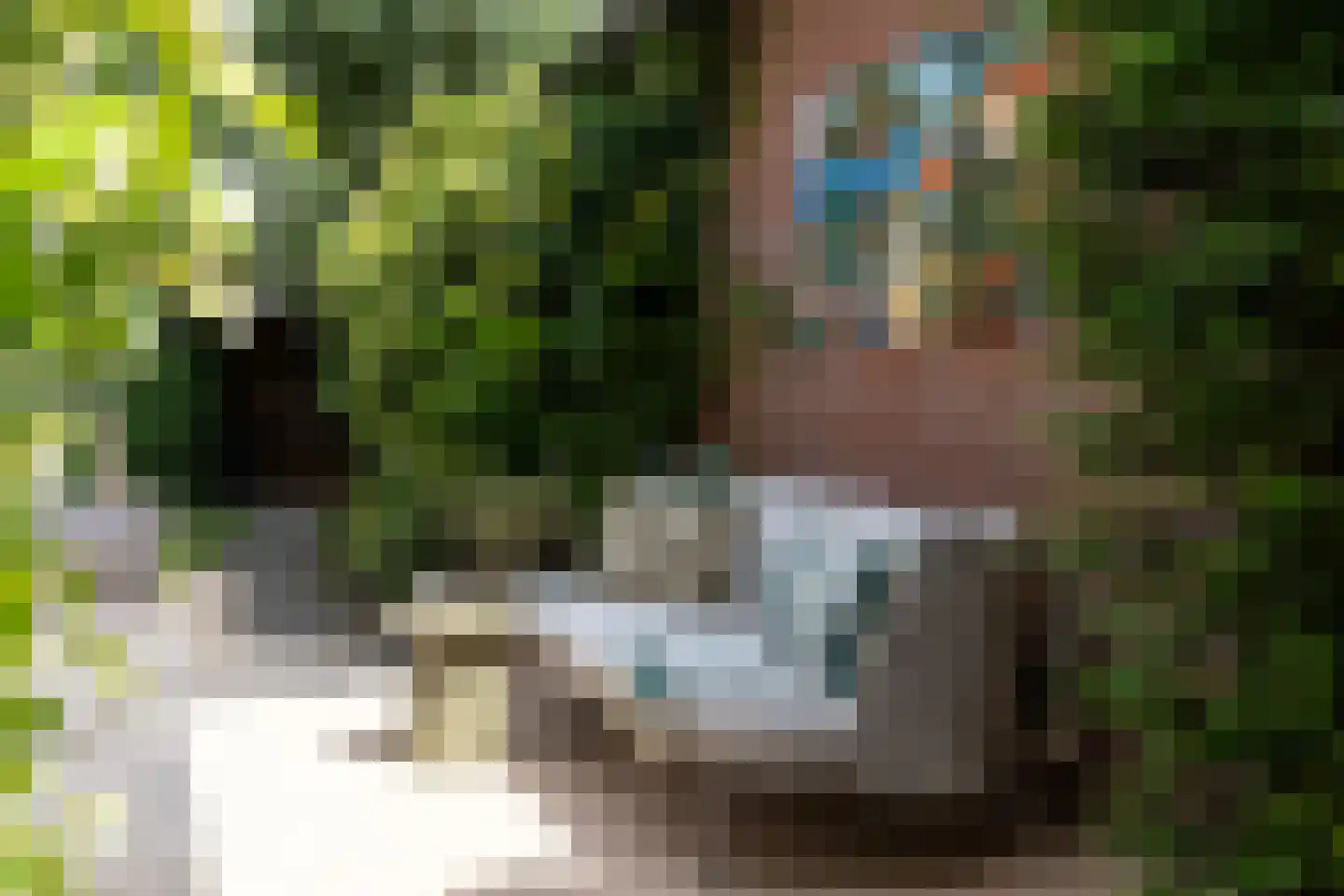 Braakven 33 Berlicum thumbnail 36