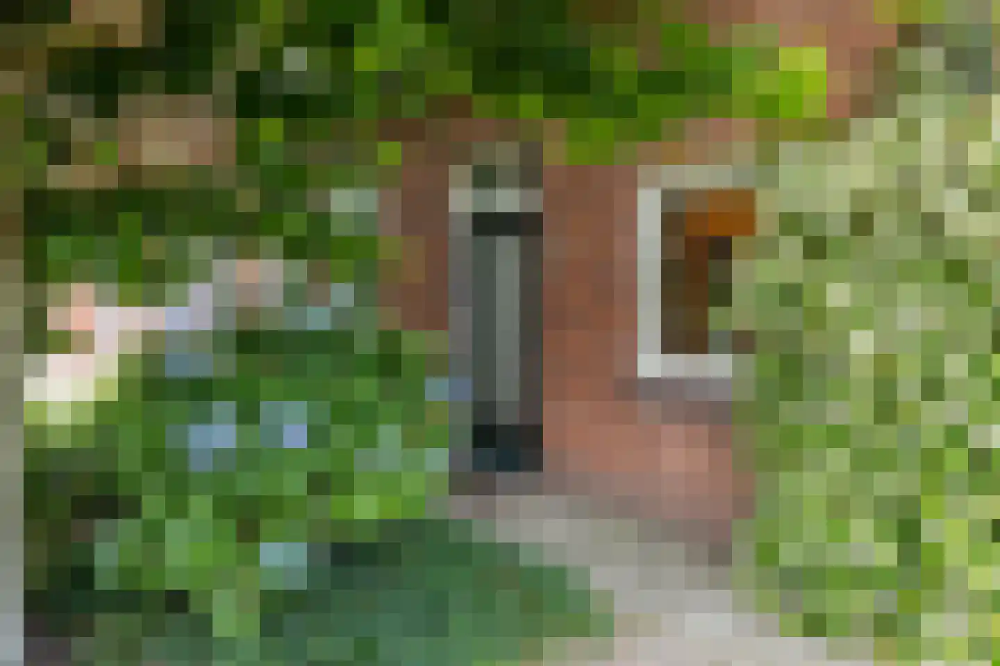 Braakven 33 Berlicum thumbnail 38