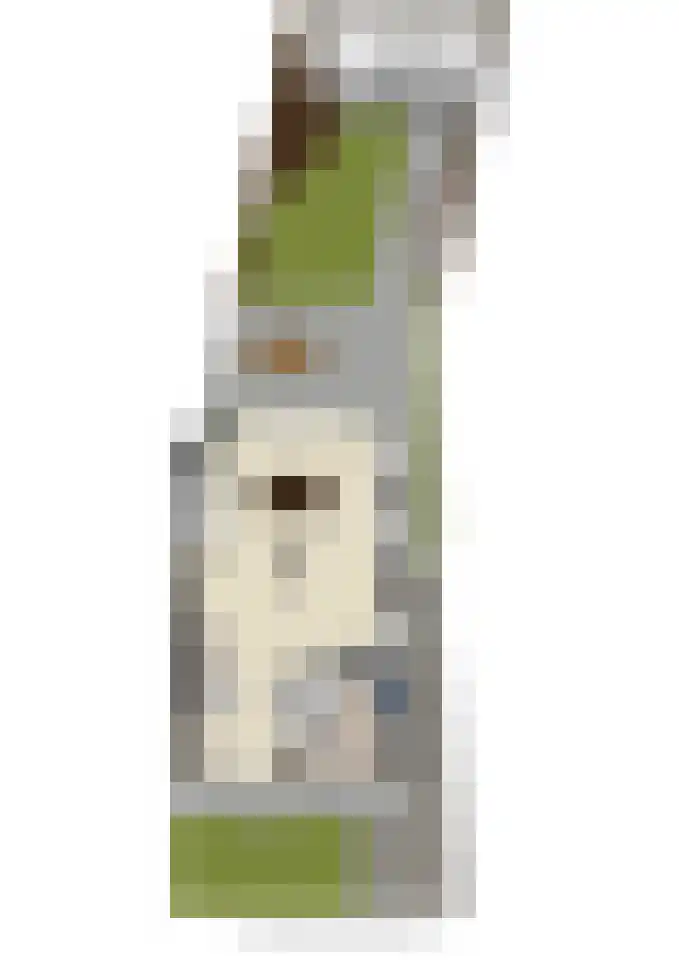Braakven 33 Berlicum thumbnail 41