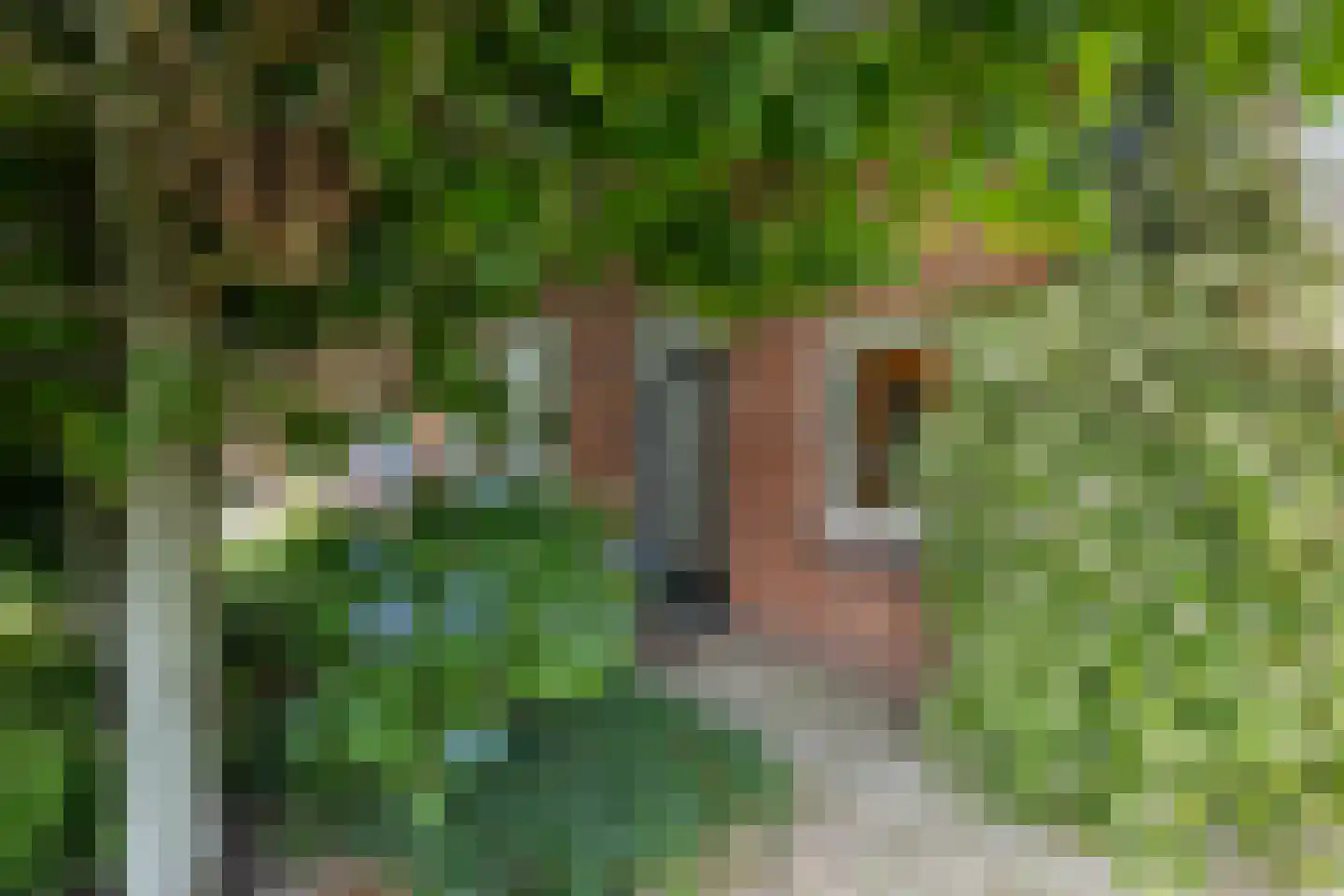 Braakven 33 Berlicum thumbnail 5