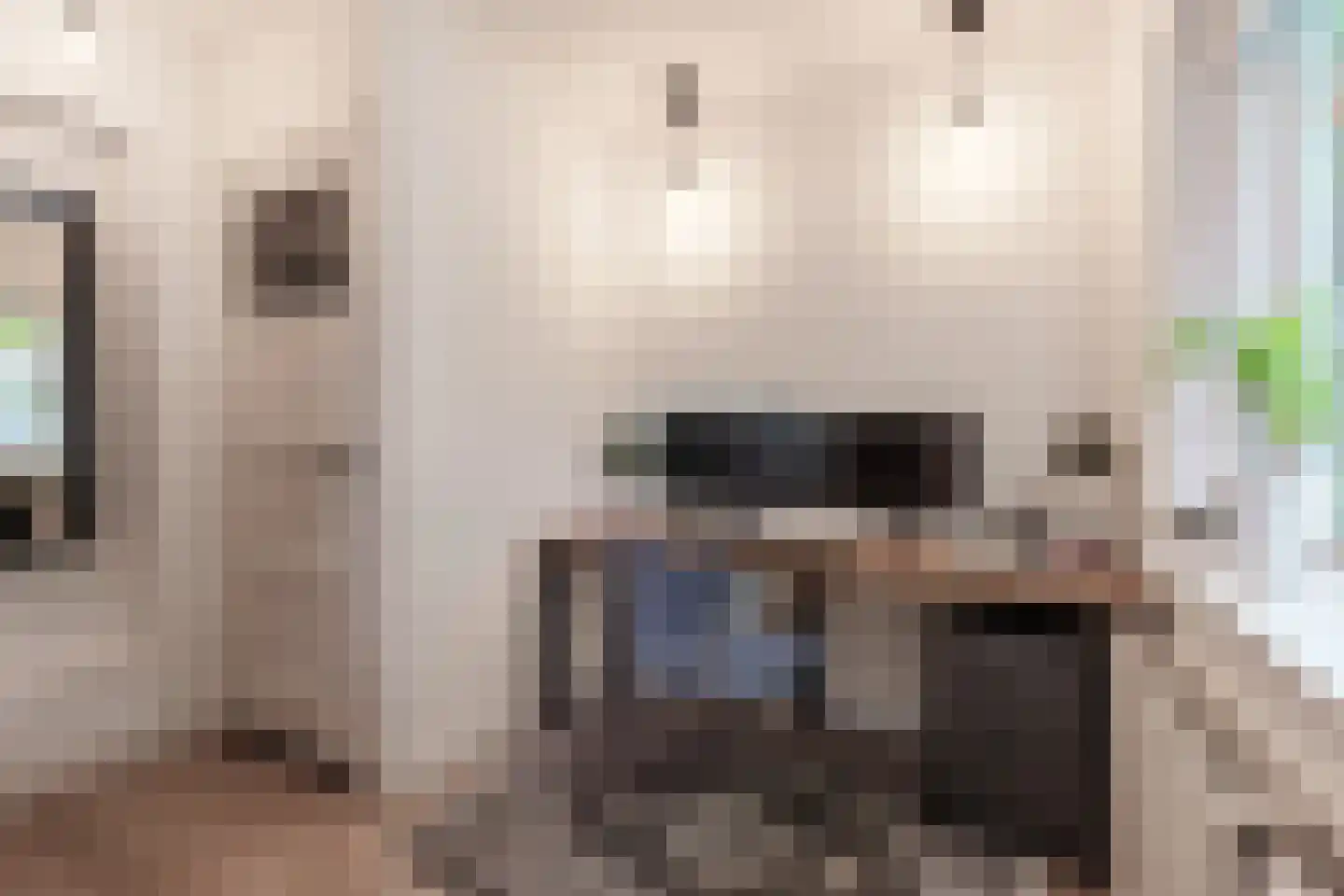 Braakven 33 Berlicum thumbnail 7