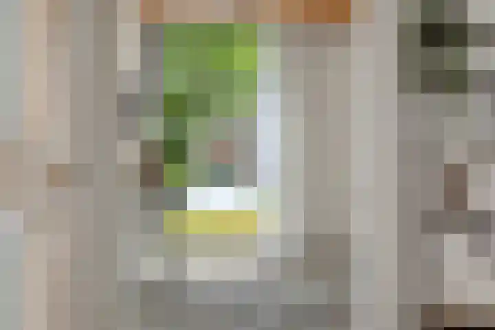Braakven 36 Berlicum thumbnail 12