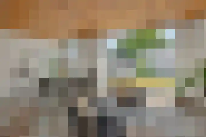 Braakven 36 Berlicum thumbnail 13