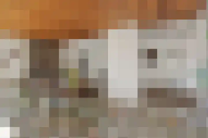 Braakven 36 Berlicum thumbnail 15