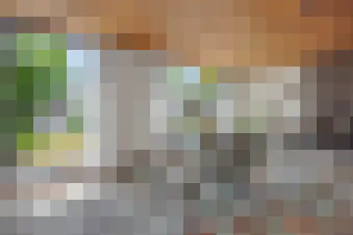 Braakven 36 Berlicum thumbnail 16