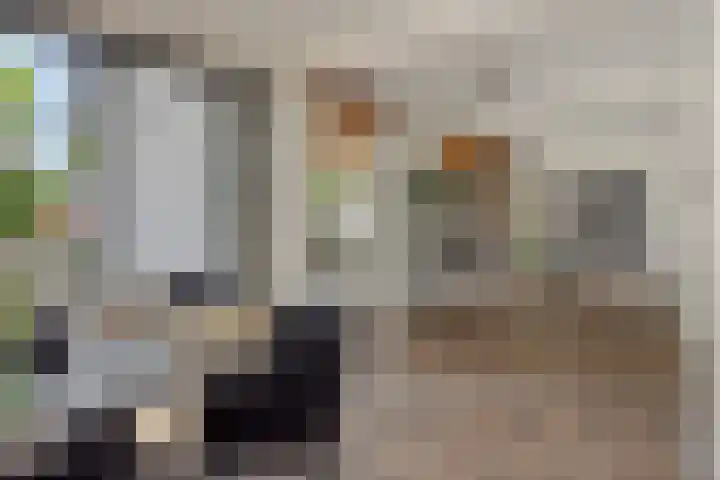 Braakven 36 Berlicum thumbnail 22