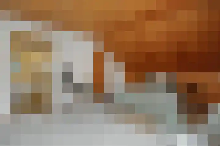 Braakven 36 Berlicum thumbnail 31