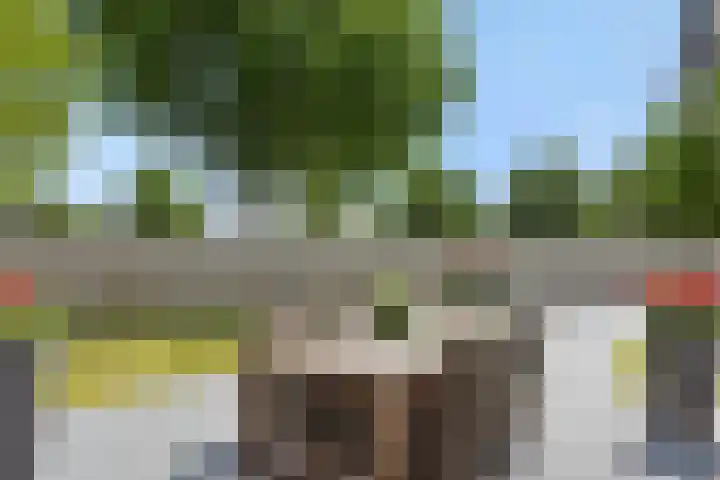 Braakven 36 Berlicum thumbnail 46