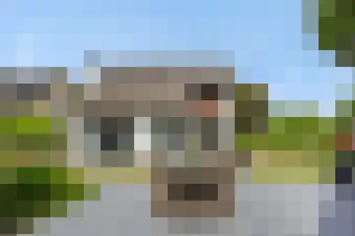 Braakven 36 Berlicum thumbnail 49