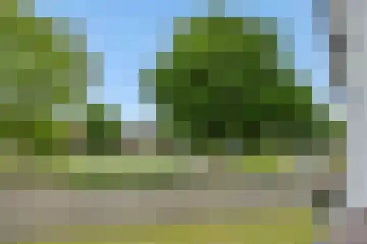 Braakven 36 Berlicum thumbnail 54