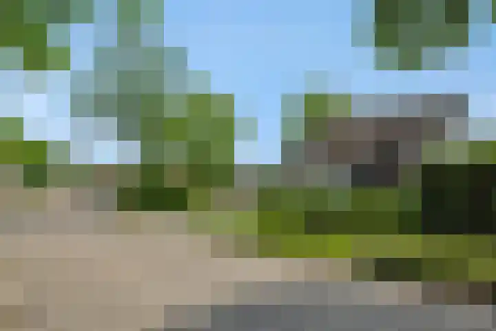 Braakven 36 Berlicum thumbnail 60