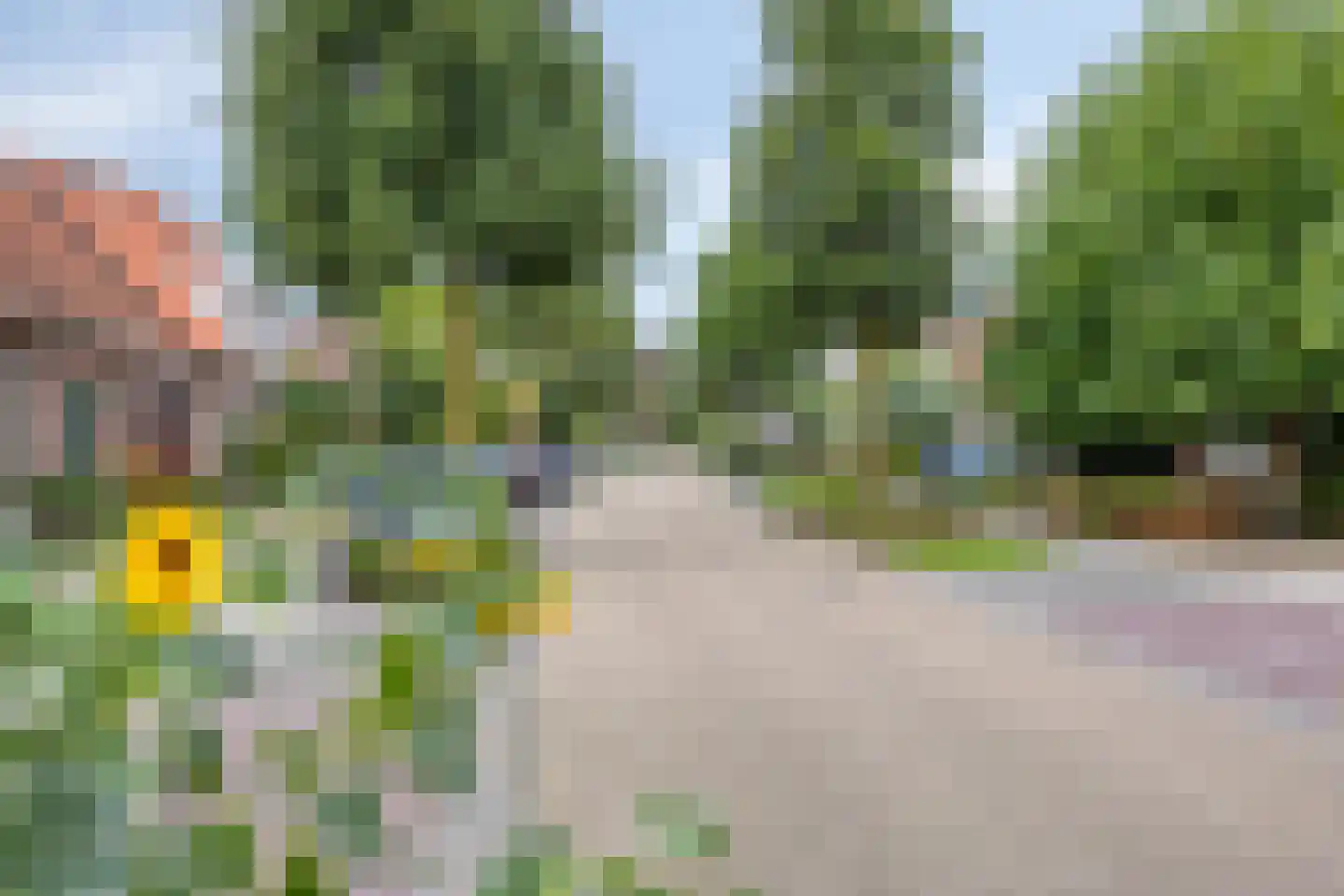 Braakven 41 Berlicum thumbnail 62