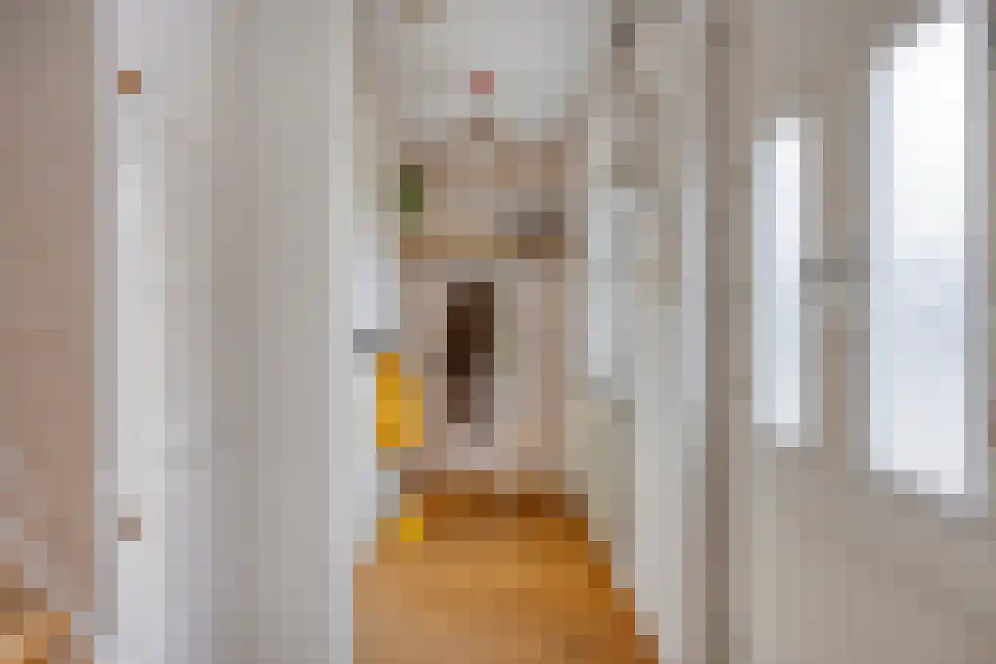 Braakven 41 Berlicum thumbnail 8