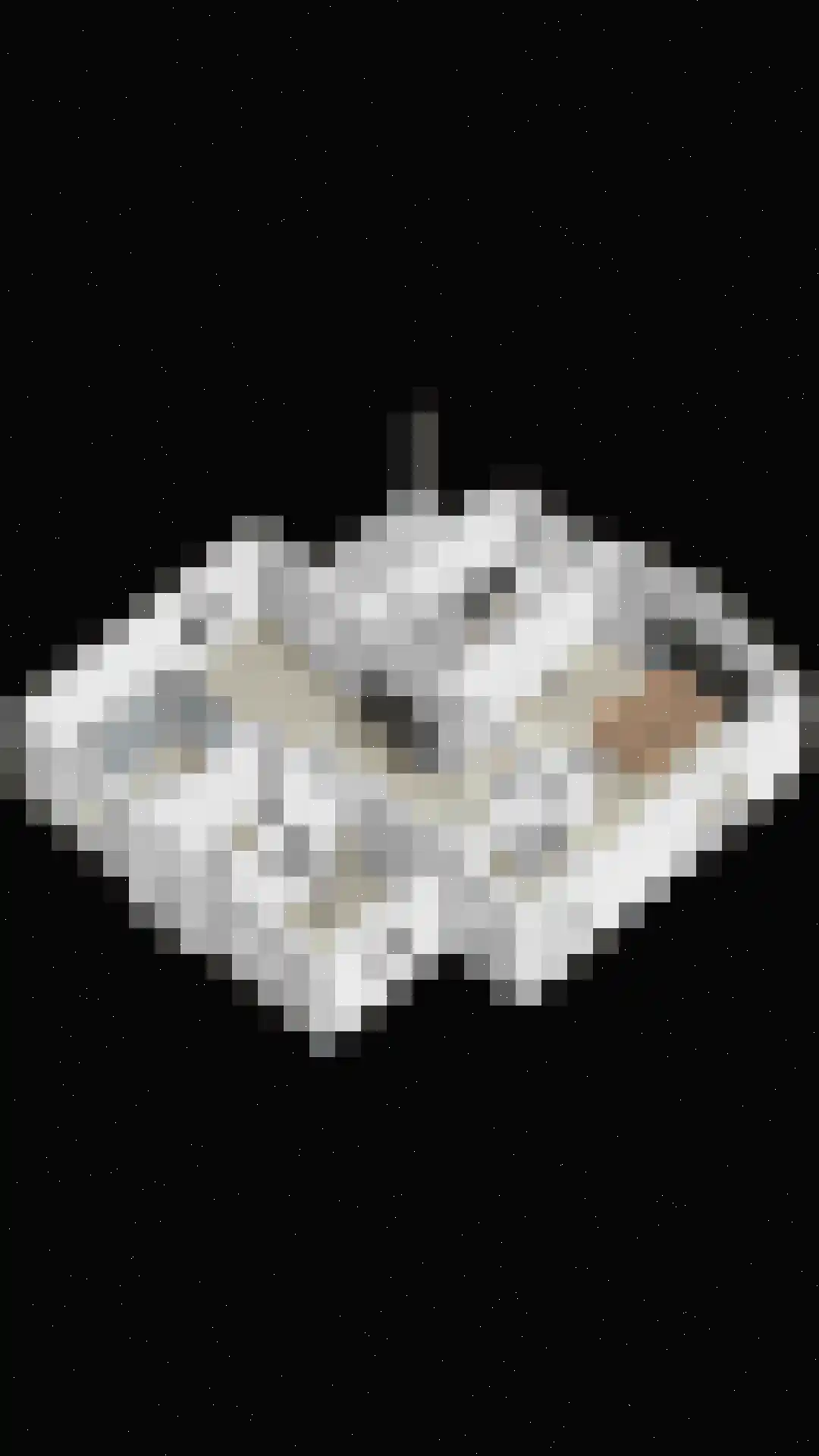 Braakven 77 Berlicum thumbnail 101