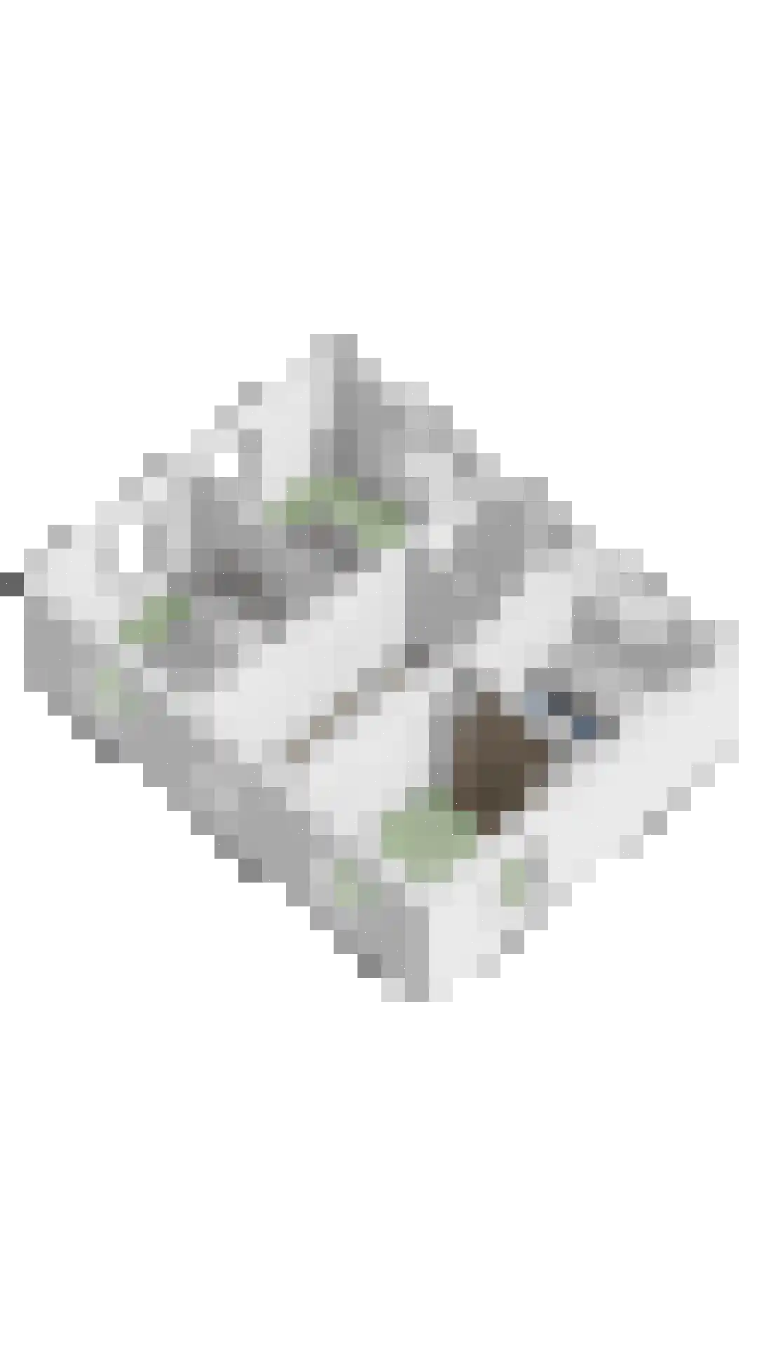 Braakven 77 Berlicum thumbnail 102