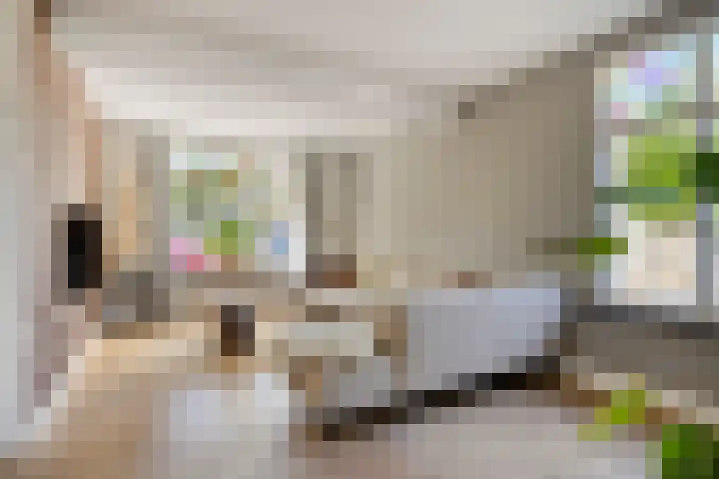 Braakven 77 Berlicum thumbnail 11