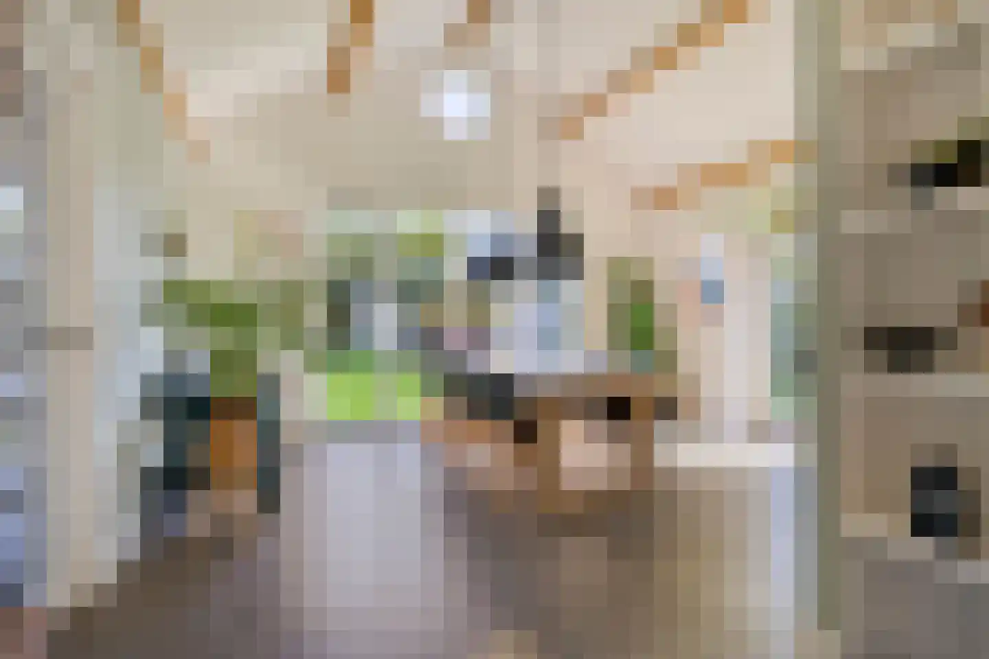 Braakven 77 Berlicum thumbnail 23