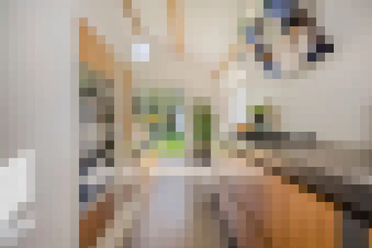 Braakven 77 Berlicum thumbnail 32