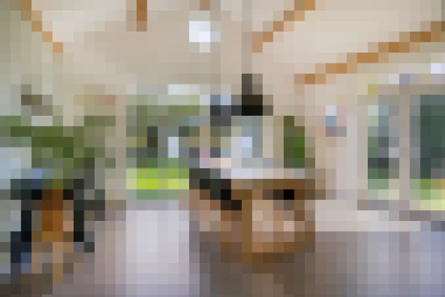 Braakven 77 Berlicum thumbnail 5