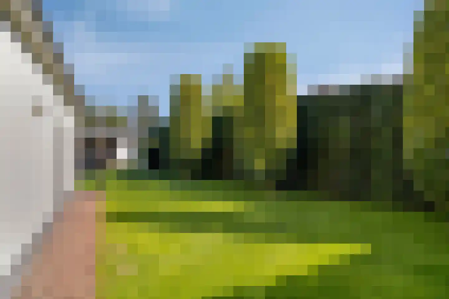 Braakven 77 Berlicum thumbnail 73