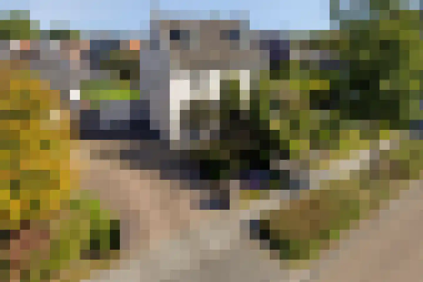 Braakven 77 Berlicum thumbnail 88