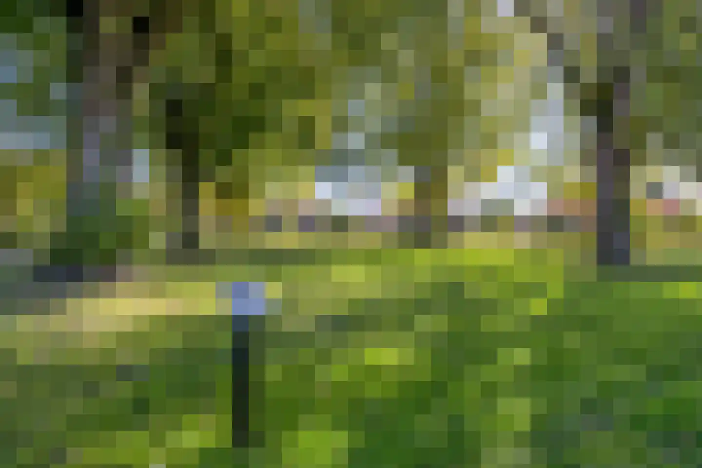 Braakven 77 Berlicum thumbnail 89