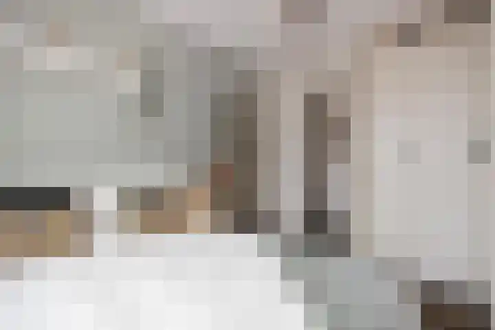 Braakven 79 C Berlicum thumbnail 11