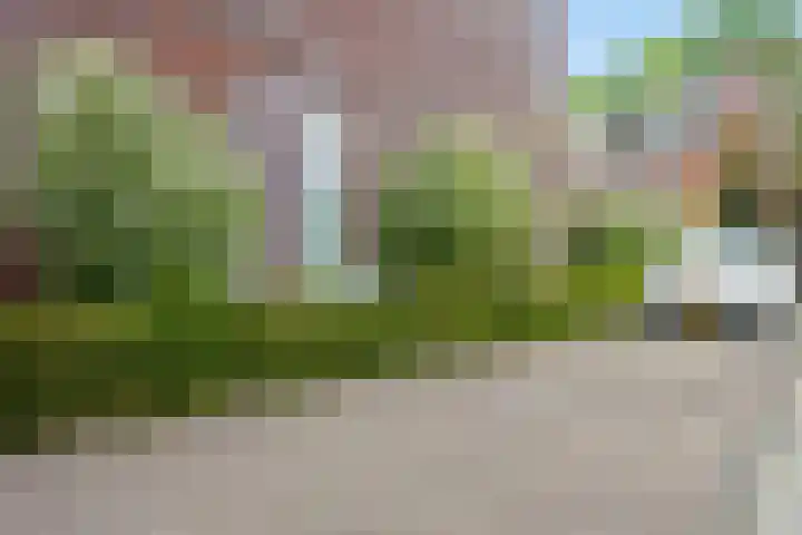 Braakven 79 C Berlicum thumbnail 15