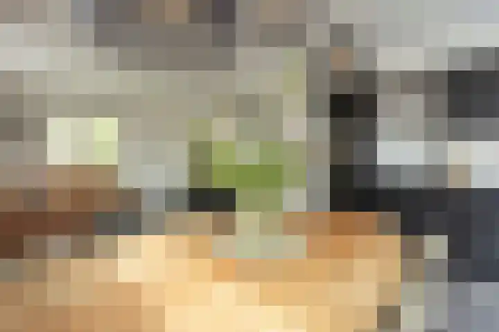 Braakven 79 C Berlicum thumbnail 7