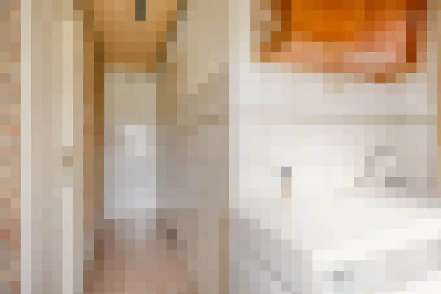 Braakven 8 Berlicum thumbnail 12