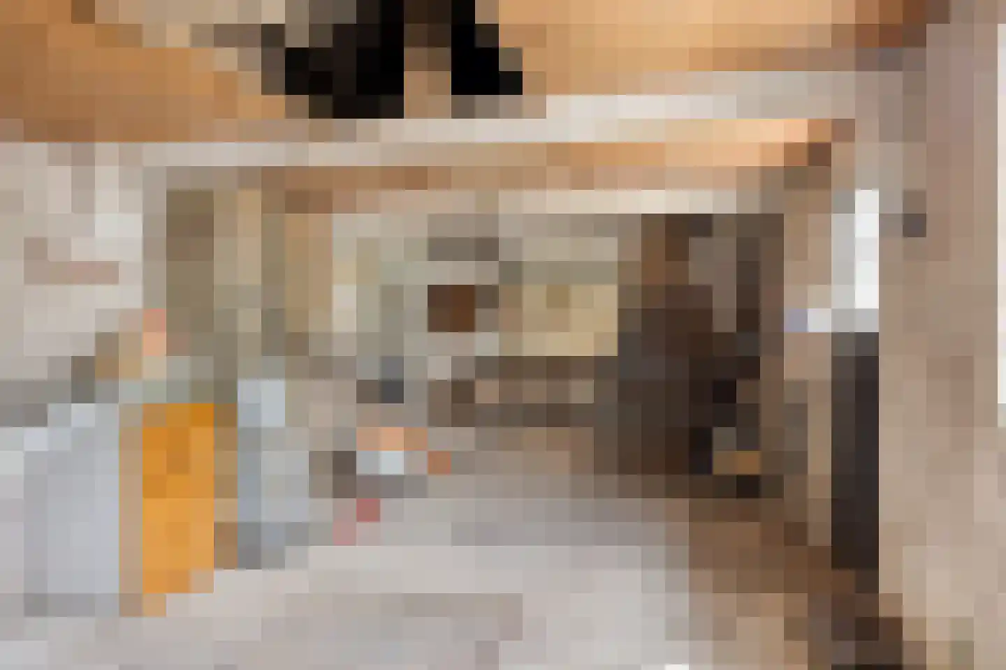 Braakven 8 Berlicum thumbnail 30