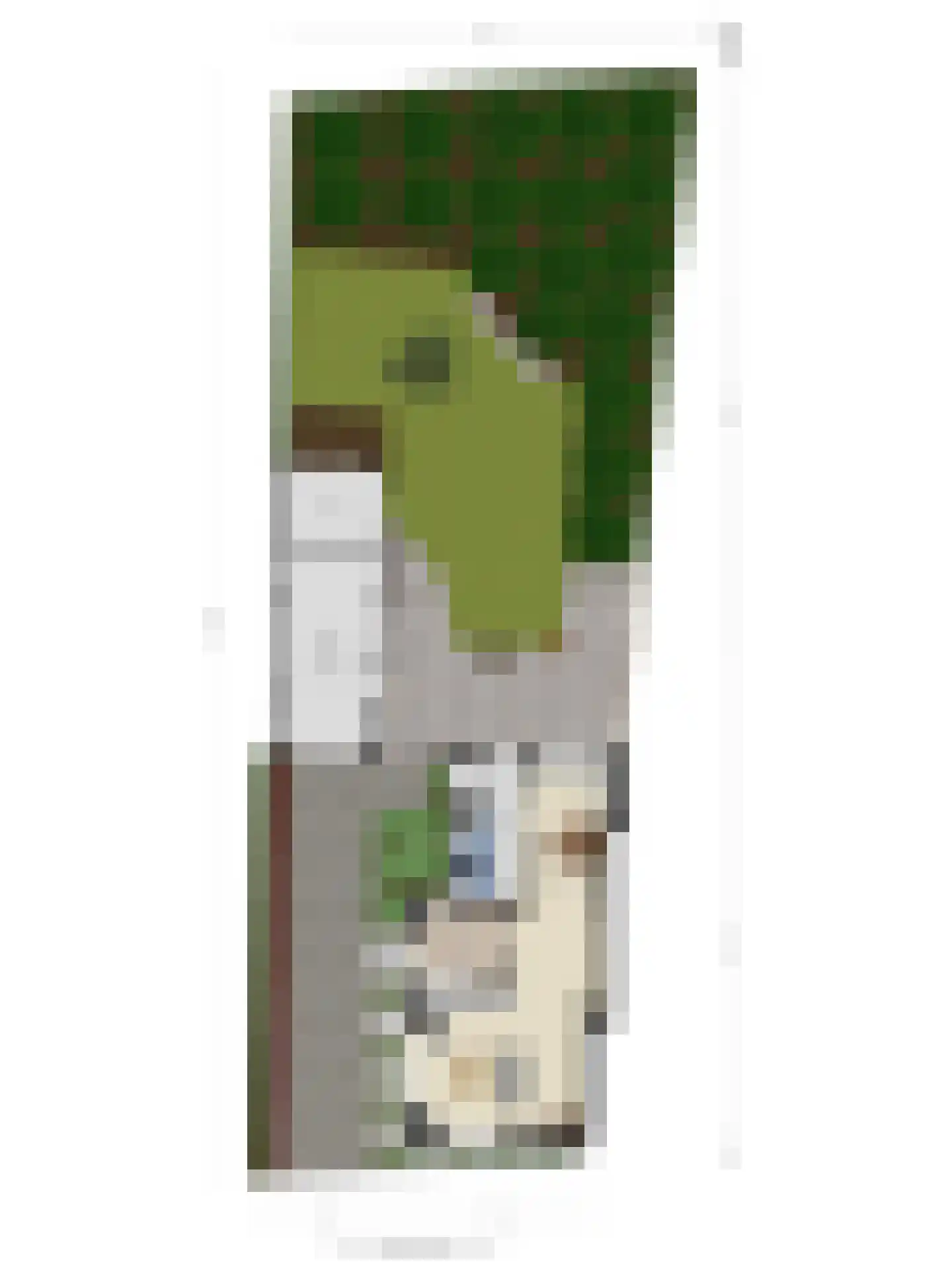 Braakven 8 Berlicum thumbnail 39