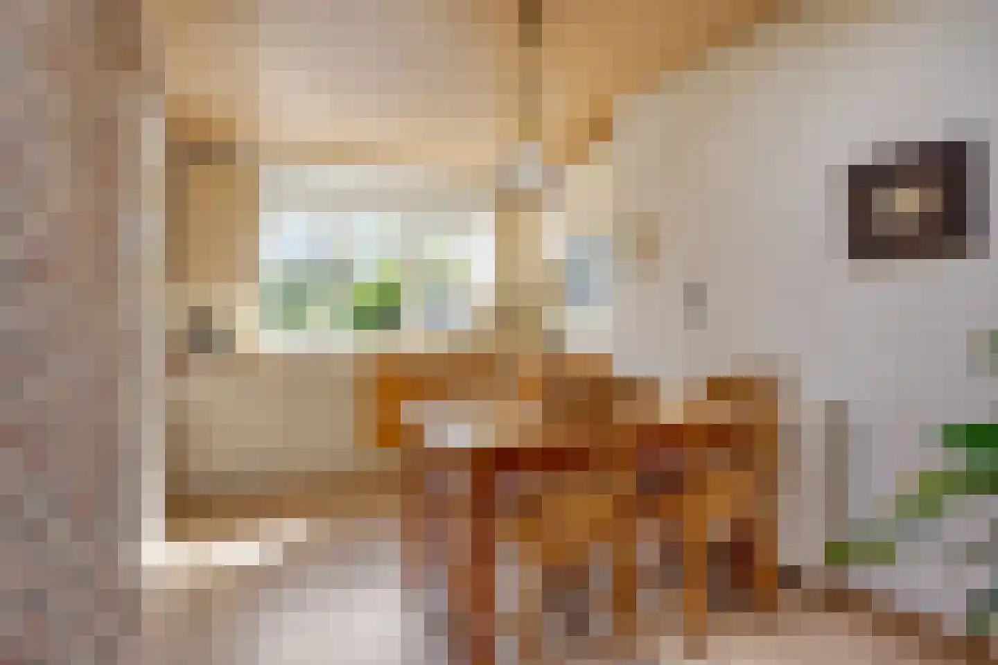 Braakven 8 Berlicum thumbnail 8