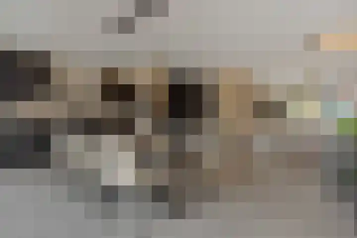 Braakven 90 Berlicum thumbnail 10