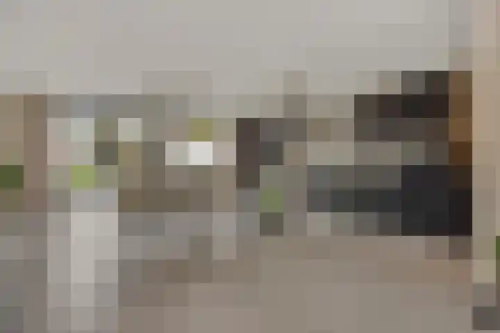Braakven 90 Berlicum thumbnail 11