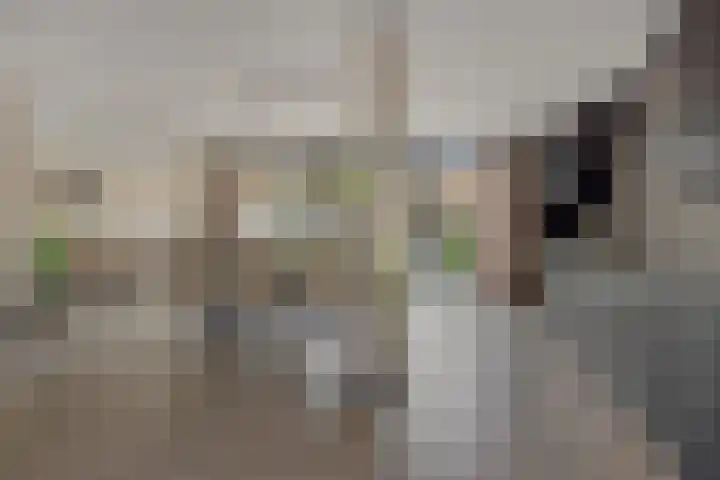 Braakven 90 Berlicum thumbnail 14