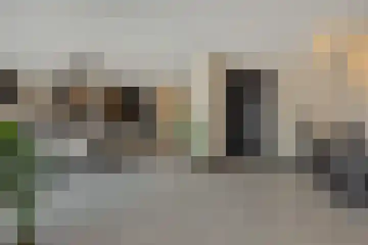Braakven 90 Berlicum thumbnail 15