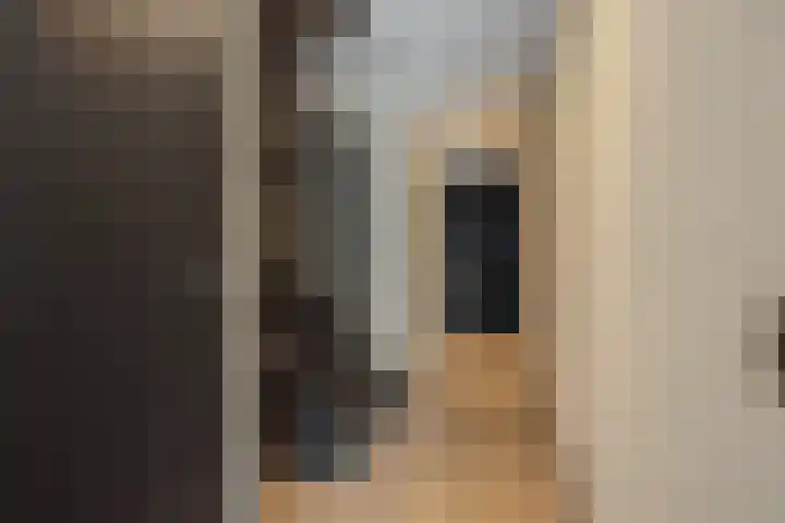 Braakven 90 Berlicum thumbnail 28
