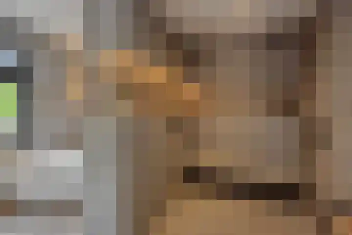 Braakven 90 Berlicum thumbnail 31