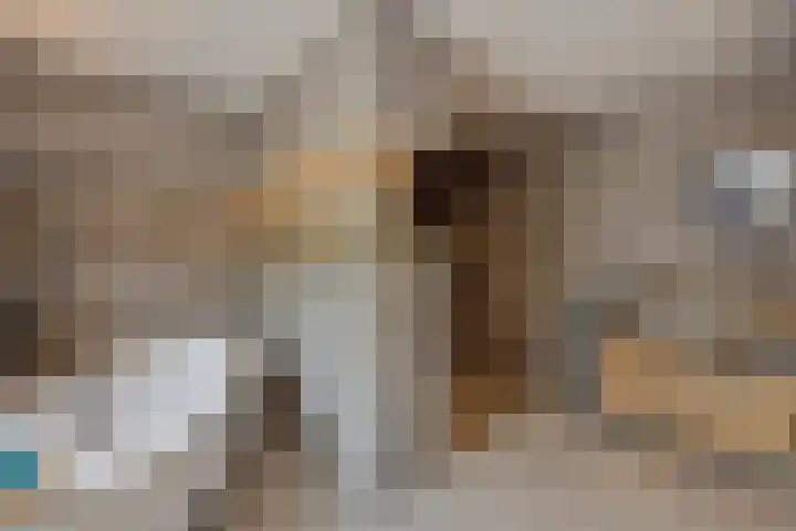 Braakven 90 Berlicum thumbnail 32