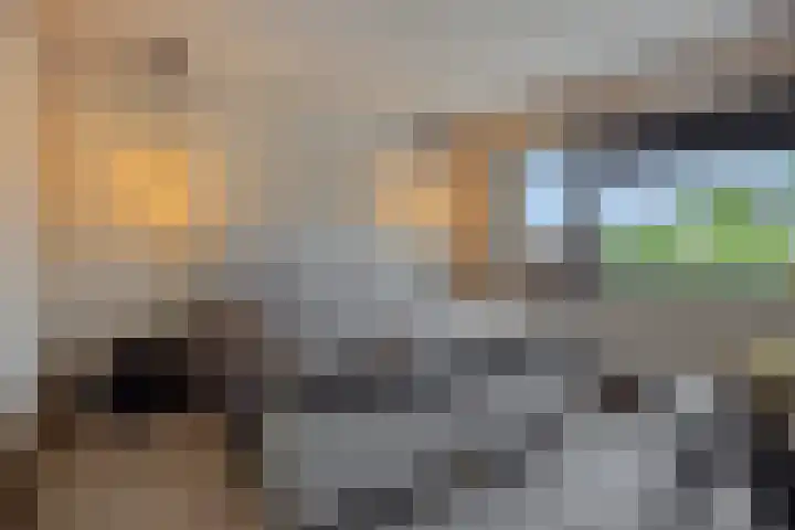 Braakven 90 Berlicum thumbnail 37