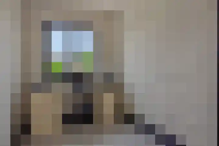 Braakven 90 Berlicum thumbnail 39