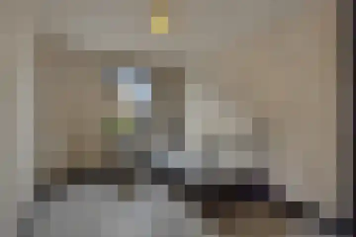 Braakven 90 Berlicum thumbnail 40