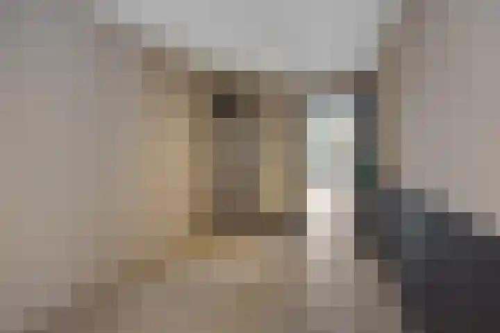 Braakven 90 Berlicum thumbnail 43