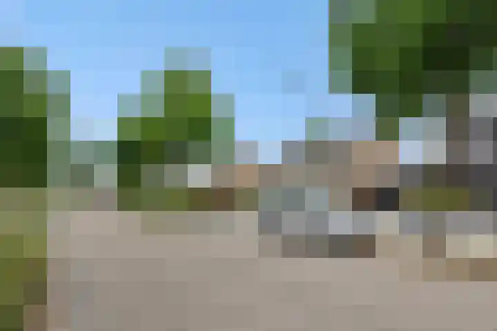 Braakven 90 Berlicum thumbnail 46