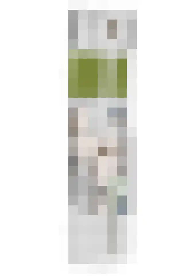 Braakven 90 Berlicum thumbnail 49