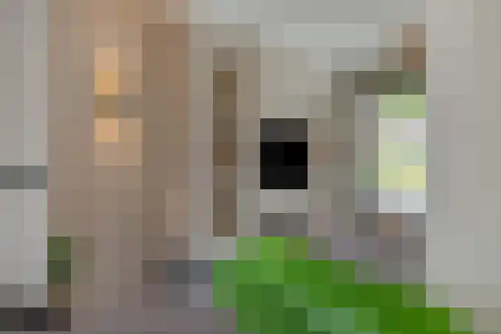 Braakven 90 Berlicum thumbnail 7